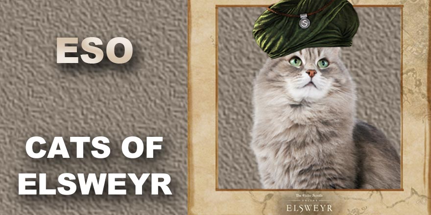 ESO With Fan Templates To Celebrate The Cats of Elsweyr